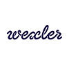 Ремонт электронных книг Wexler